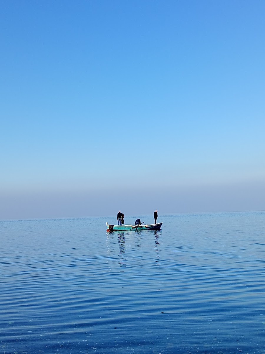 Yazakı Hatıra Ormanı — fotoğraf 5