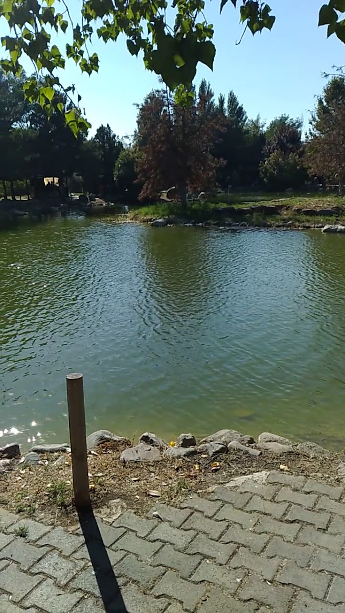 Yedi Kuğular Millet Bahçesi — fotoğraf 3