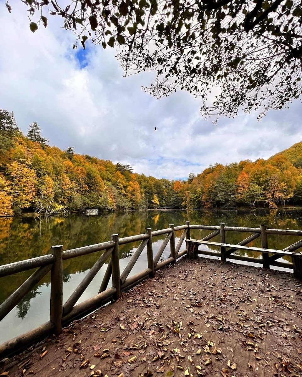 Yedigöller Milli Parkı Kamp Alanı — fotoğraf 4