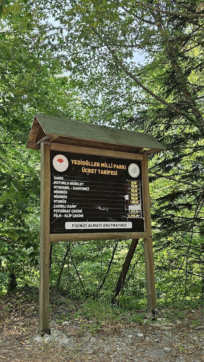 Yedigöller Milli Parkı — fotoğraf 4