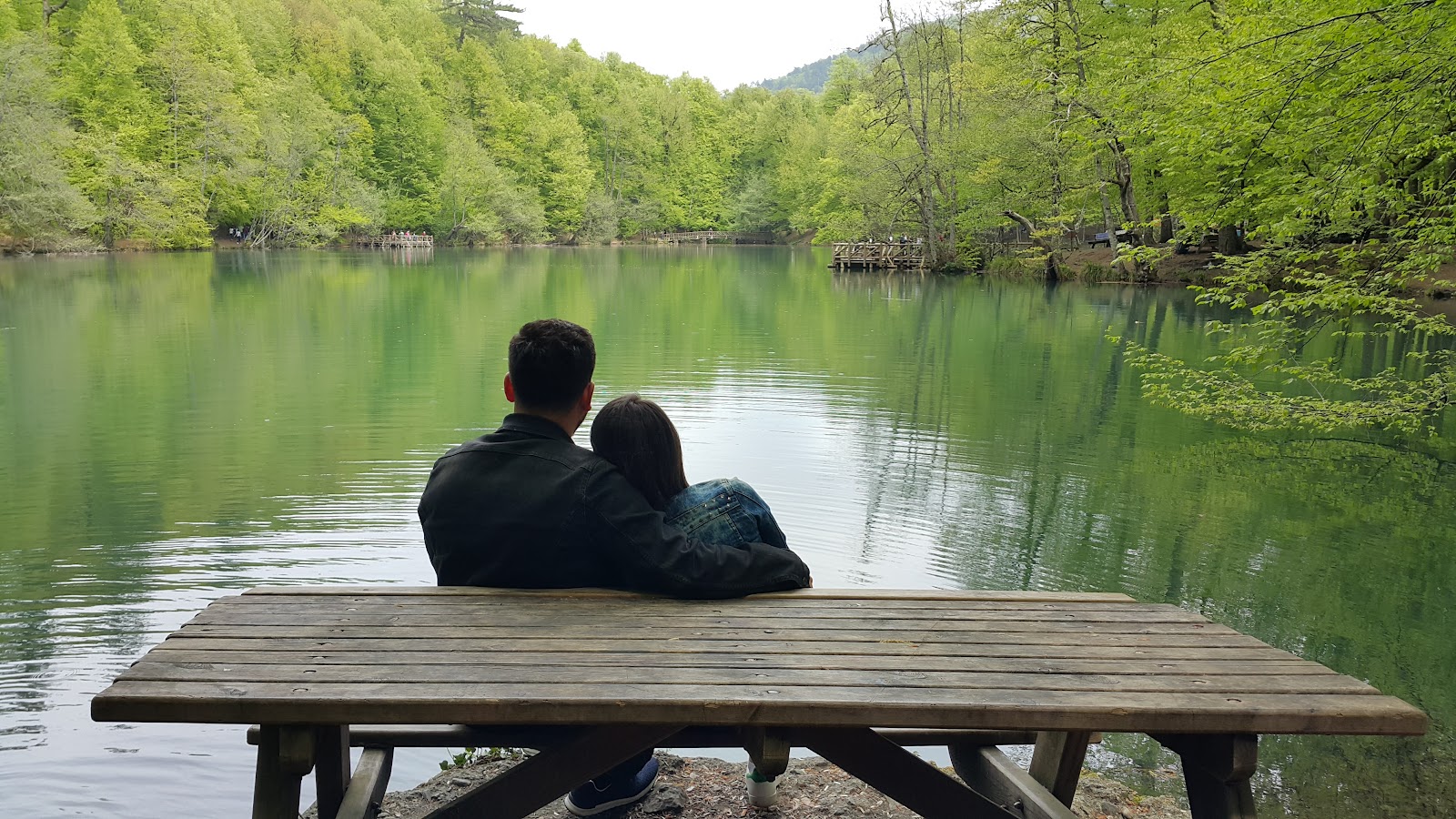 Yedigöller Milli Parkı — fotoğraf 5