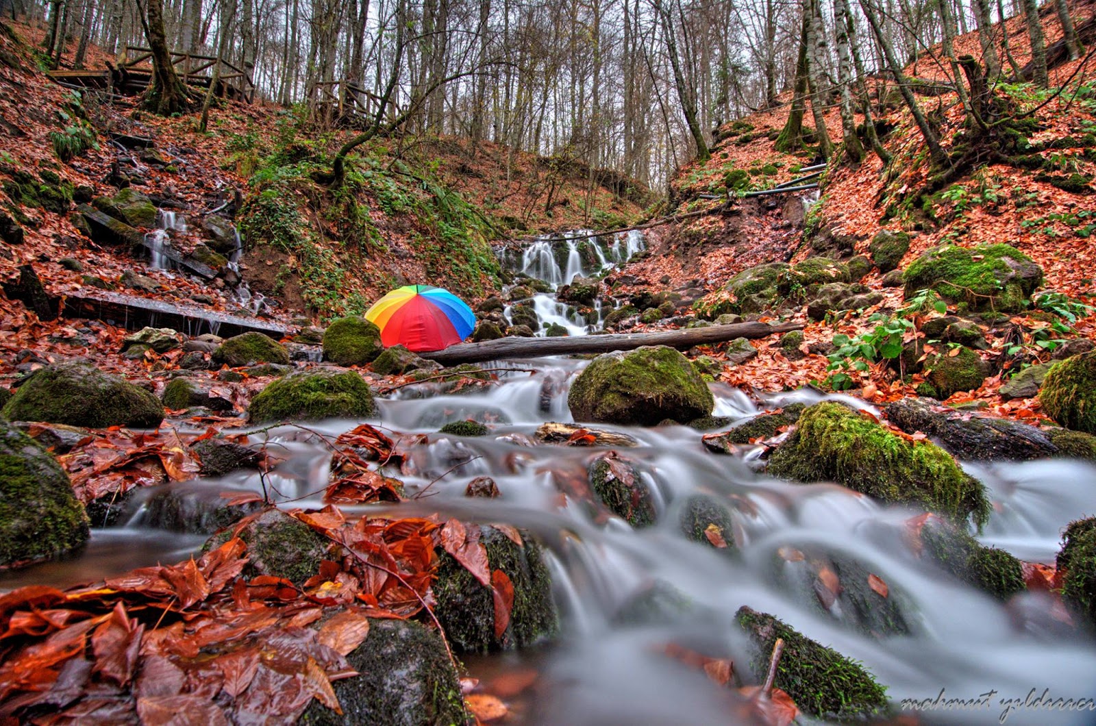 Yedigöller Şelalesi