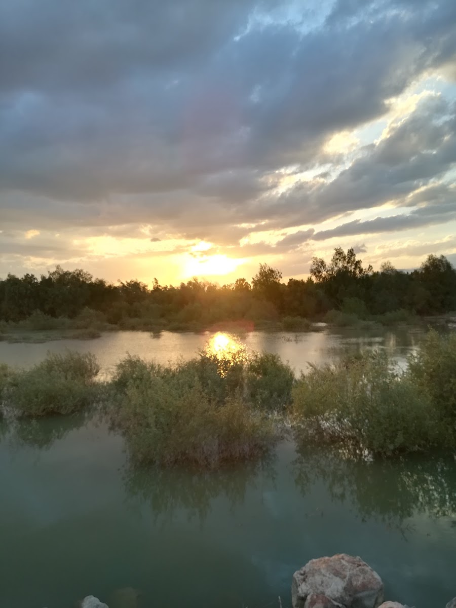 Yedikır Barajı Piknik alanı — fotoğraf 1