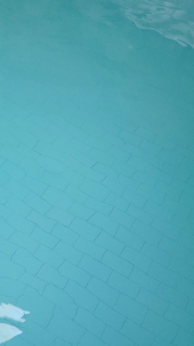 Yeni Hamam — fotoğraf 3