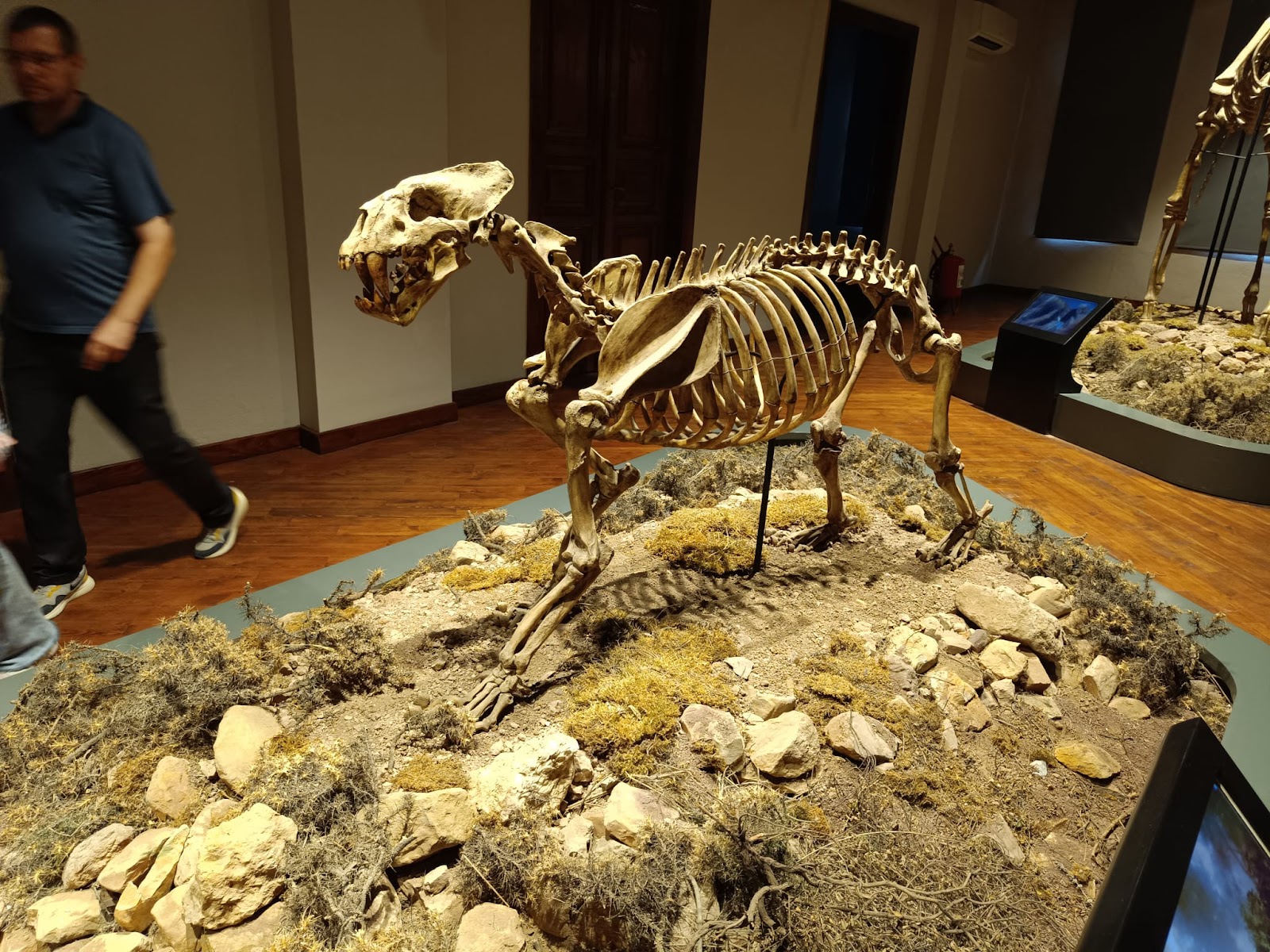 YERALTI TUZ ŞEHRİ — fotoğraf 4