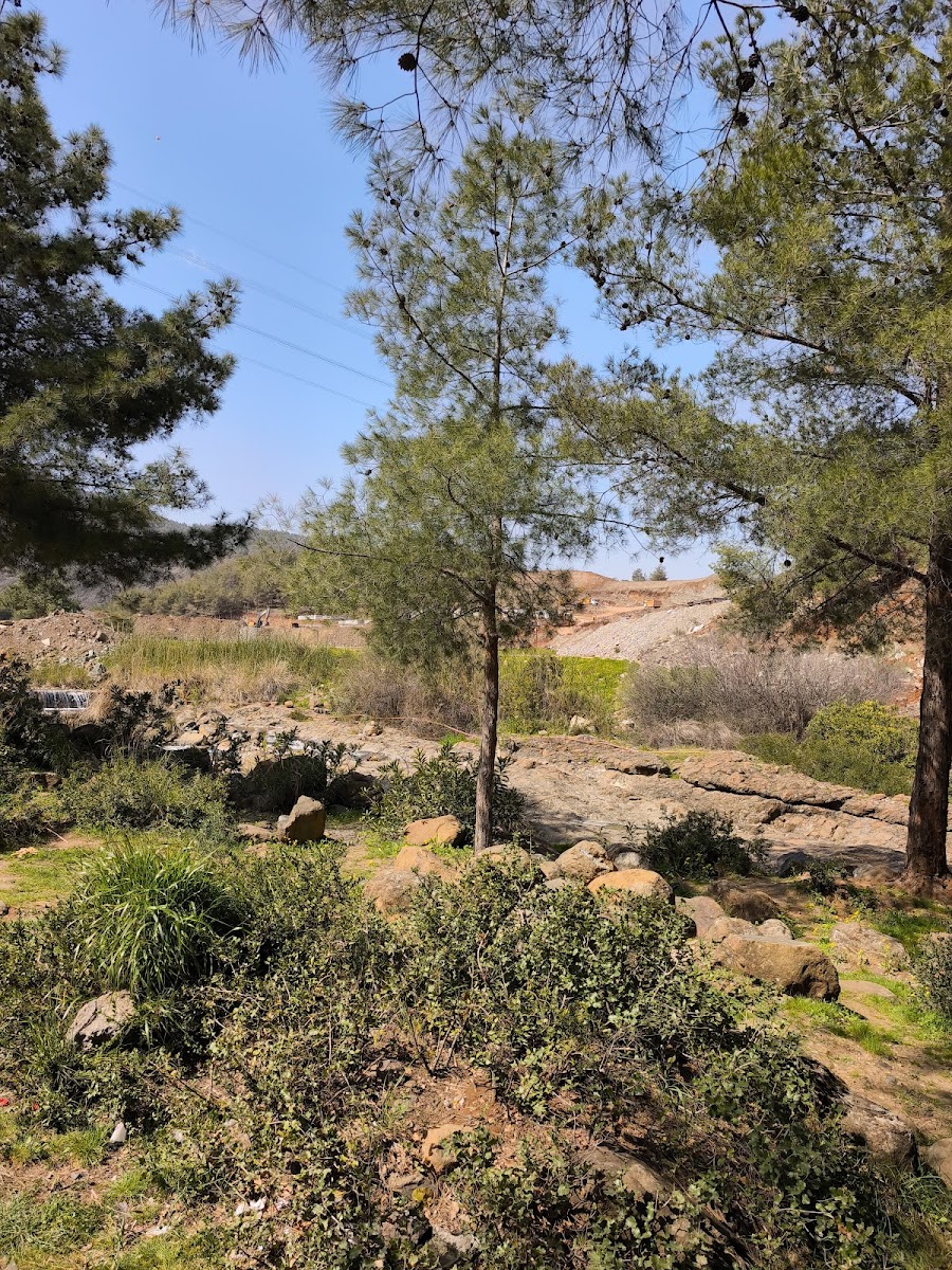 Yıldırım Mesire Alanı — fotoğraf 2