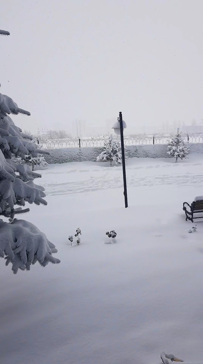 Yıldız Ciğer Restoran — fotoğraf 3