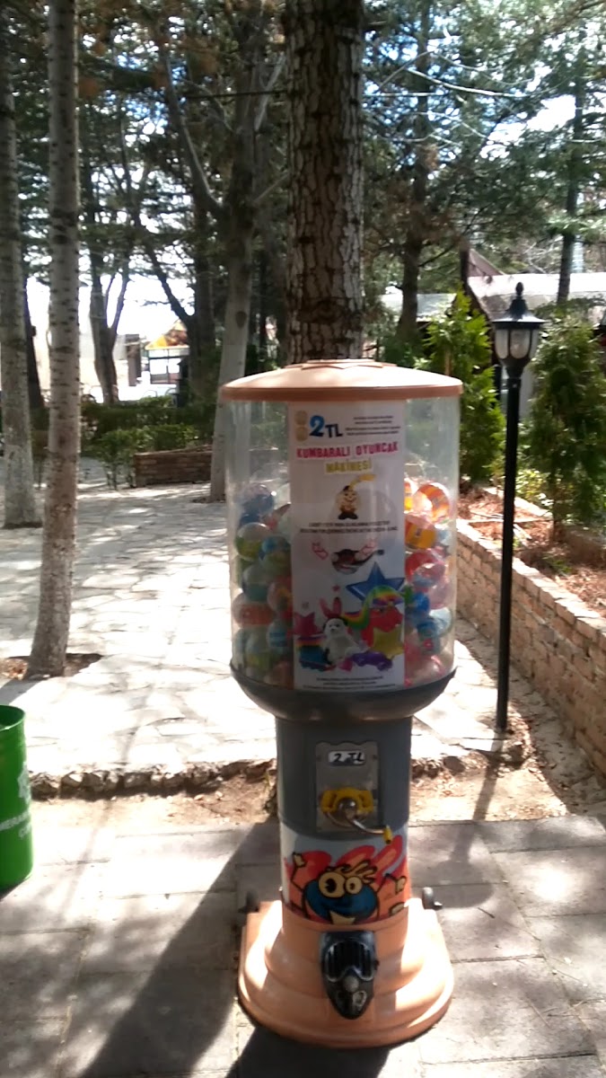 YILDIZ KÖŞKÜ DÜĞÜN BAHÇESİ — fotoğraf 3