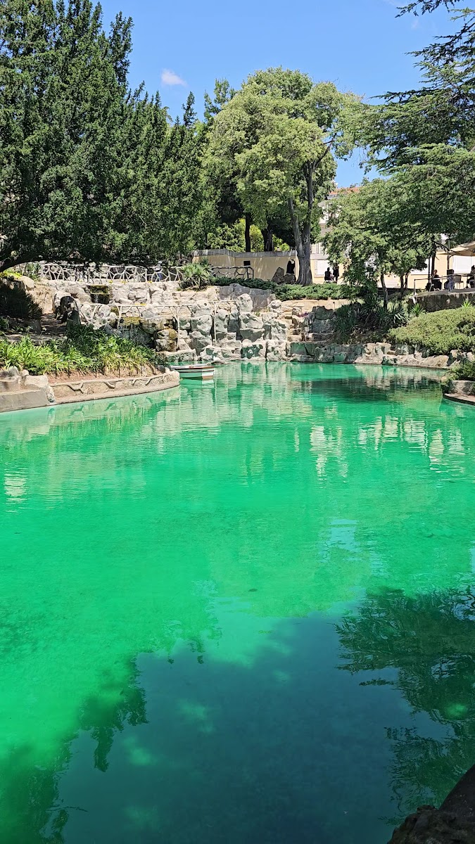 Yıldız Sarayı — fotoğraf 3