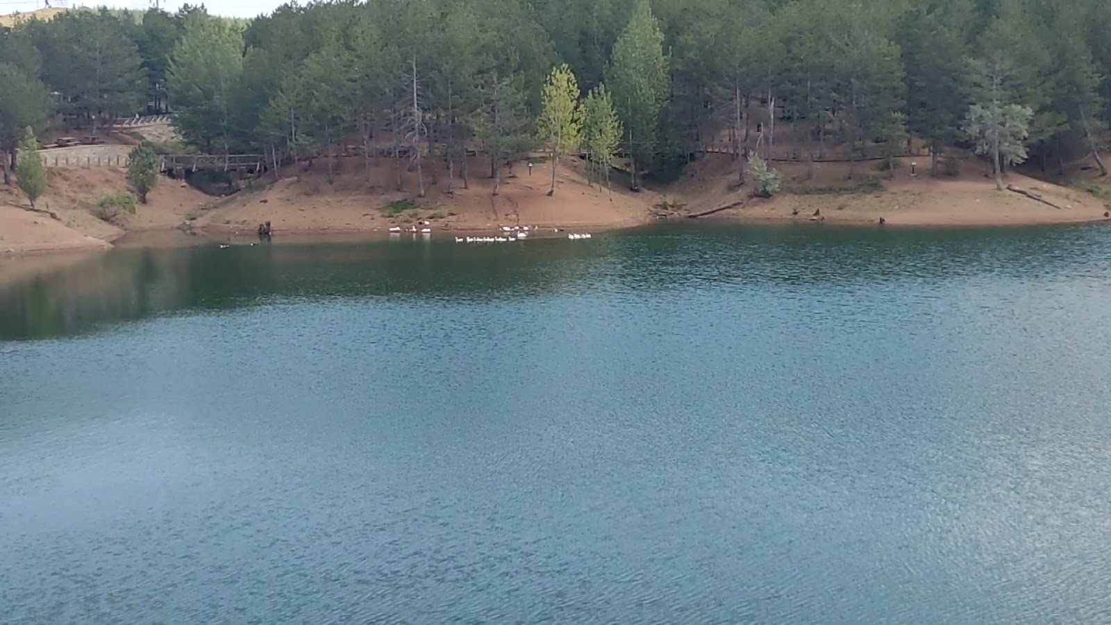 Yozgat Çamlığı Milli Parkı — fotoğraf 3