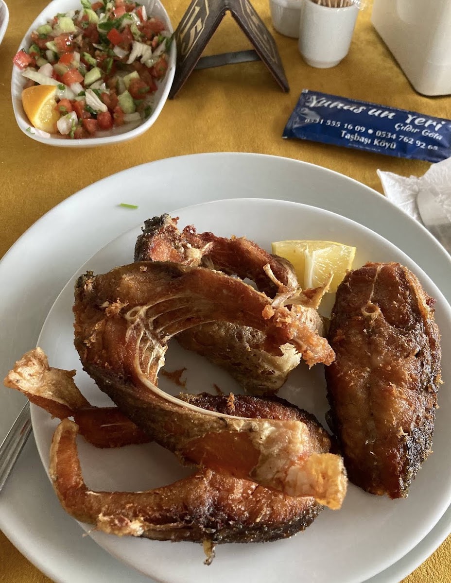 Yunus'un Yeri — fotoğraf 5