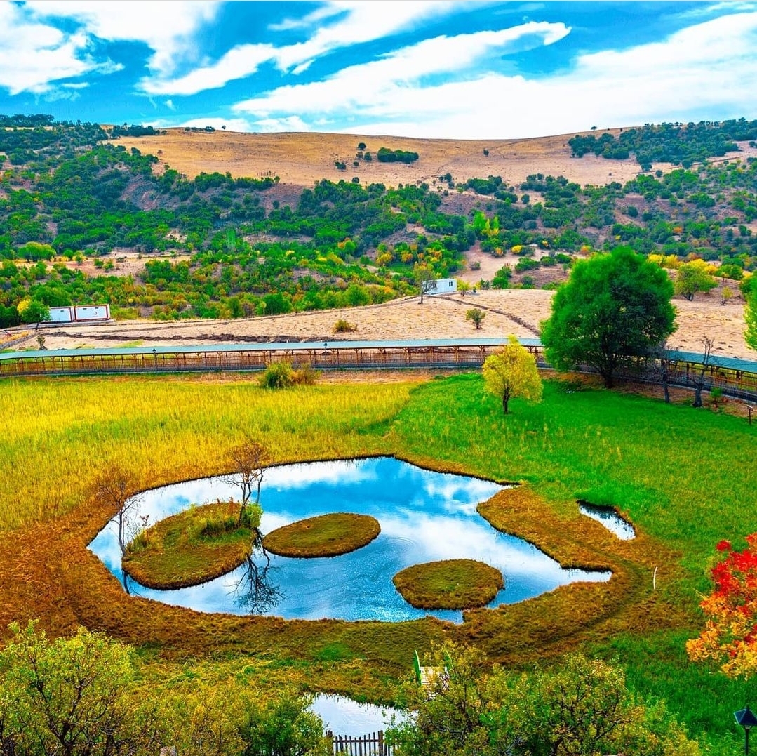Yüzen Adalar Tabiat Anıtı