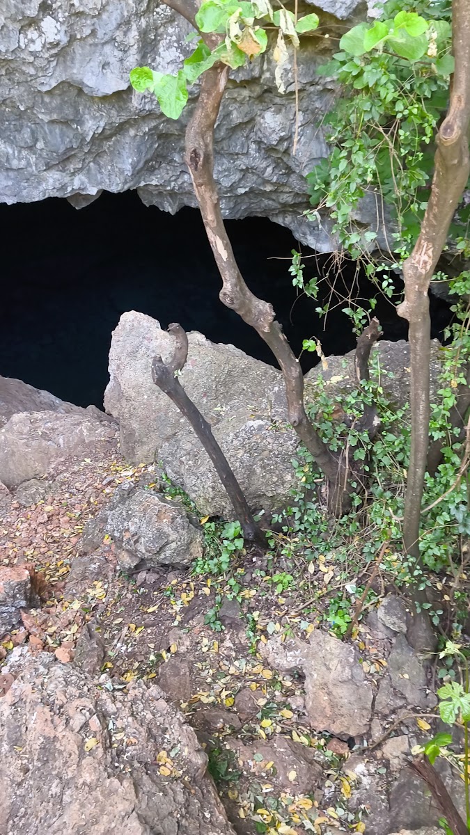 Zeus Mağarası — fotoğraf 3