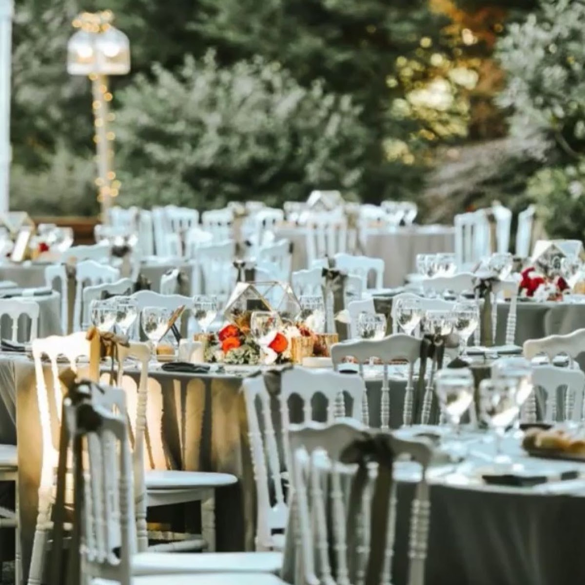 ZeytinDalı Kır Bahçesi — fotoğraf 1