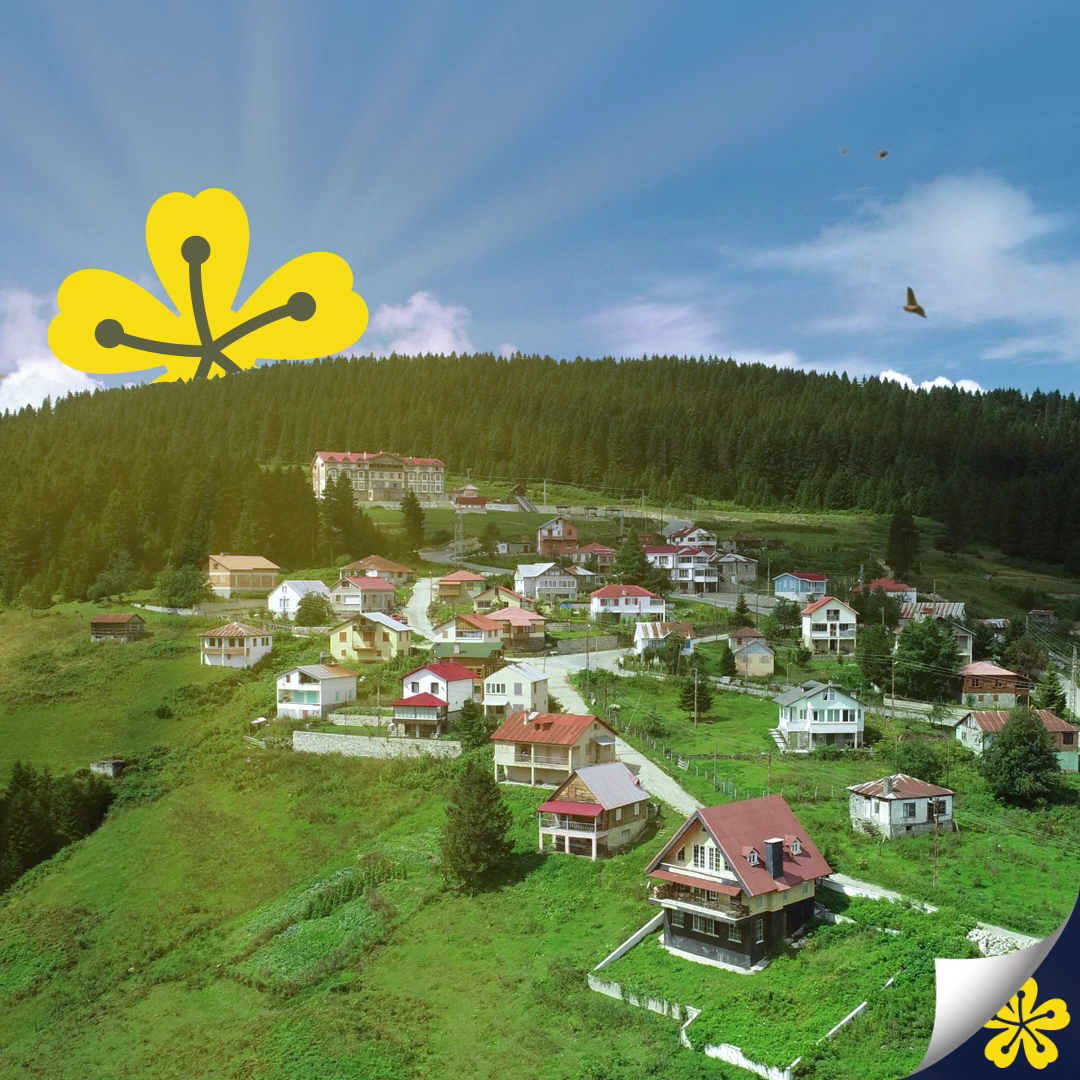 Zifin Hotel — fotoğraf 1