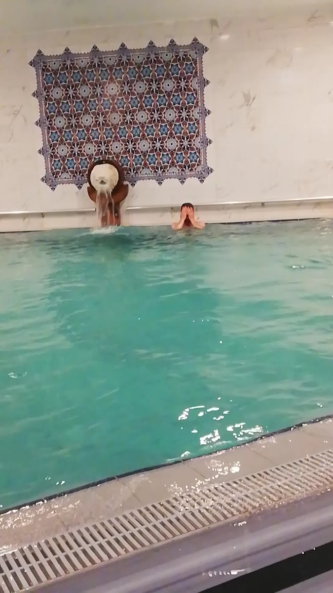 Zir Dream Thermal & Spa Yalova Hotel — fotoğraf 3