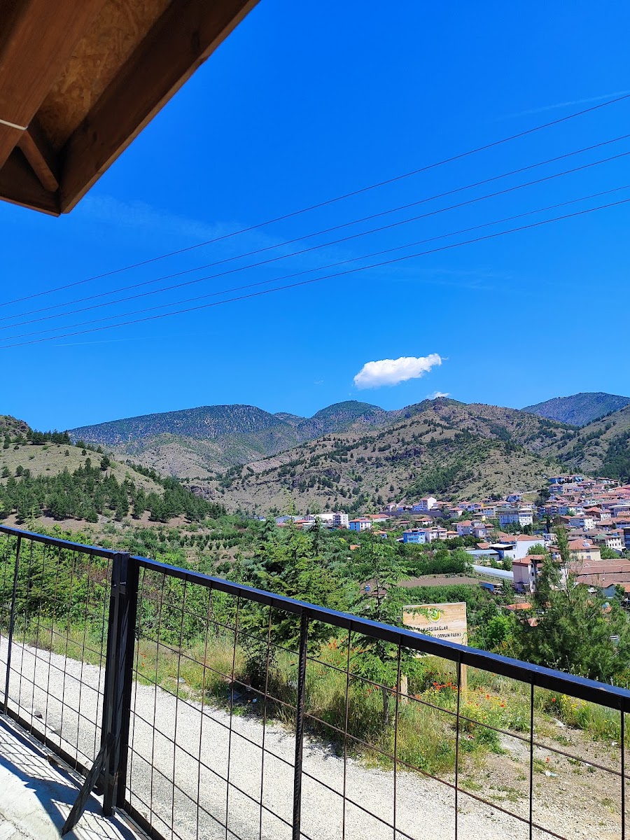 Ziyaret Belediyesi Millet Bahçesi — fotoğraf 1