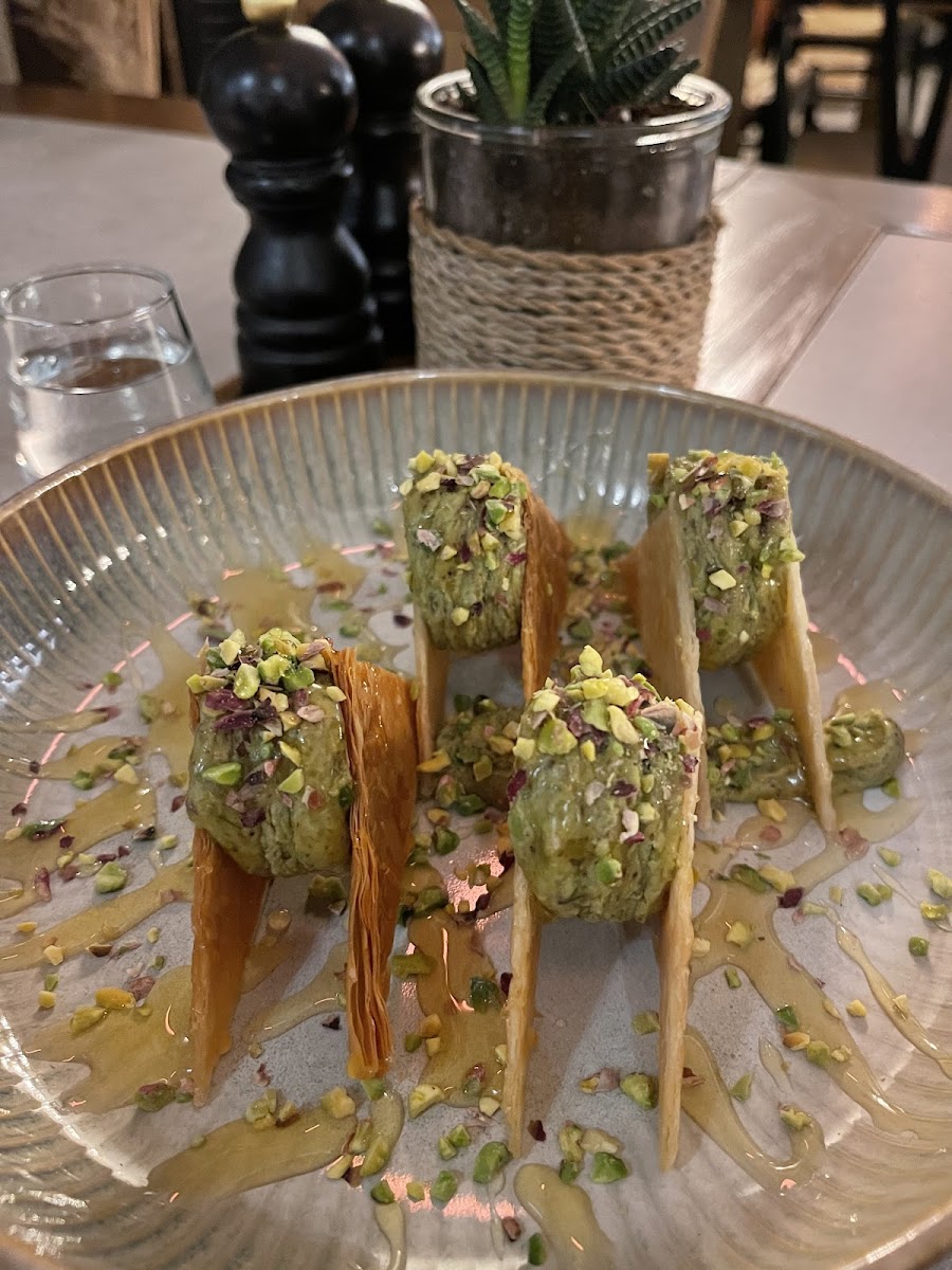 Zoya's House — fotoğraf 2